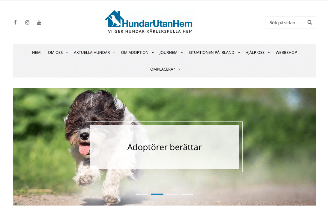 Hundar Utan Hem u203au203a Ideell Förening som räddar hundar från avlivning!